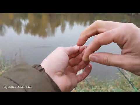 Видео: # рыбалка