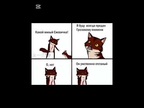 Видео: 29 октября 2025 г.