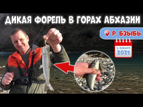 Видео: ✔️ Рыбалка в Абхазии/ зимняя форель