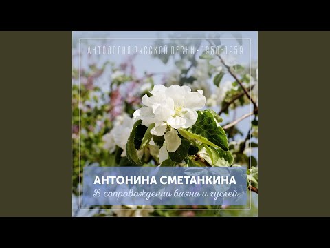 Видео: Тонкая рябина