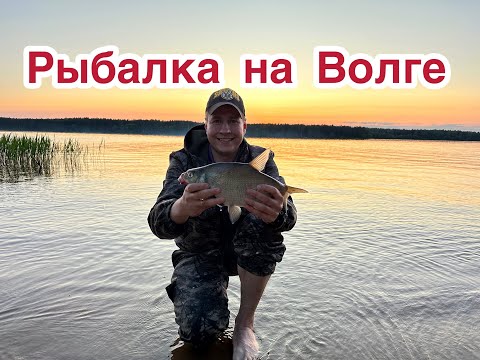 Видео: Рыбалка на Волге с ночевкой.Без рыбы не остались.