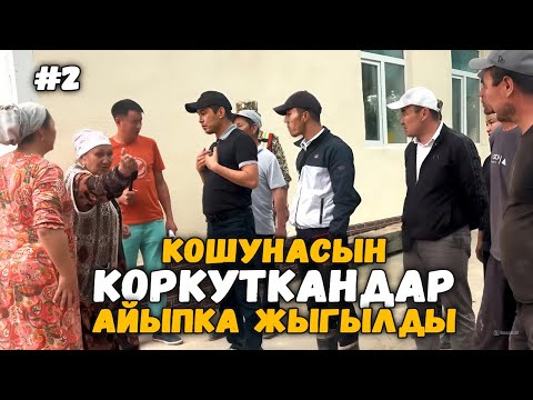 Видео: Кошунасын коркутуп, сел арыкты тосуп алган үй-бүлөгө айып салынды | Ош | Улукбек Карыбек уулу