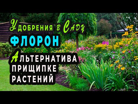 Видео: Удобрение ФЛОРОН - альтернатива прищипке растений. Мгновенный эффект