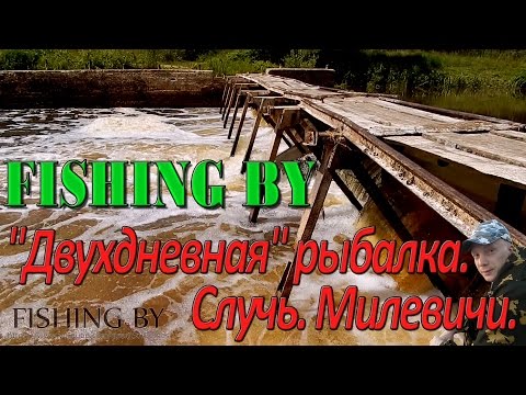 Видео: Рыбалка 2016. Случь. Щучка на P21 Cablista.