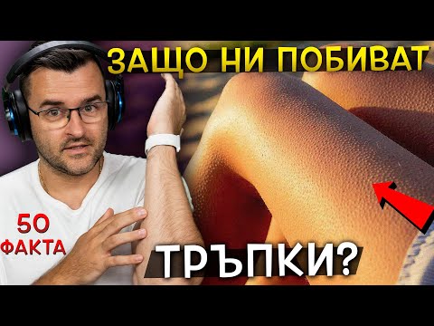 Видео: 50 Невероятни Факта, които ТРУДНО бихте приели за ИСТИНА
