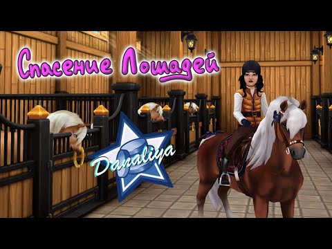 Видео: Покупка Хафлингера 2 поколения |Star Stable Online|