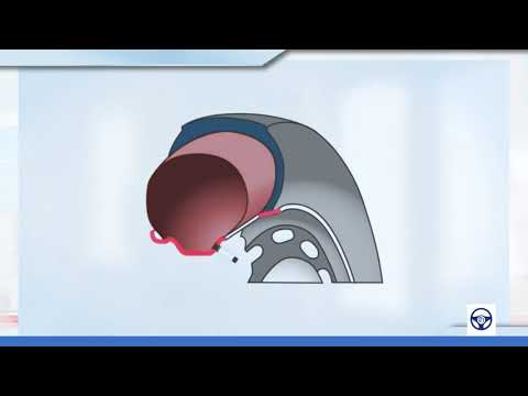 Видео: Назначение и состав ходовой части  2 ч