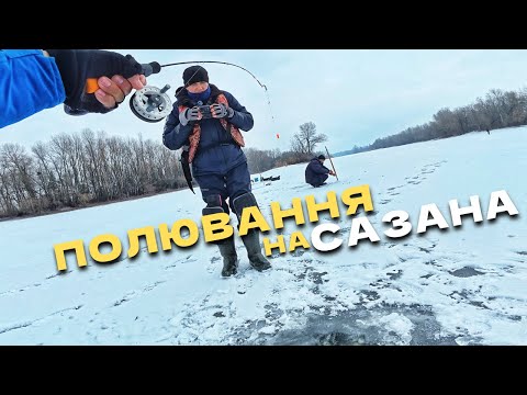 Видео: Монстр на гачку‼️ Ловля сазана на боковий кивок