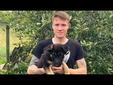 Видео: Влог.Жизнь вне Дальнобоя.