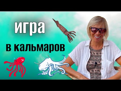 Видео: КАК ПОЛИЦИЯ ЗАБИРАЛА УЛОВ🐬🦑 ИГРА В КАЛЬМАРОВ🌴ХУРГАДА ВМЕСТО ШАРМА😱