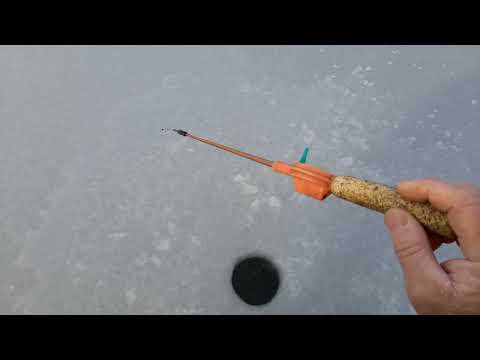 Видео: ЭТИ ПРОВОДКИ не оставят вас без рыбы!