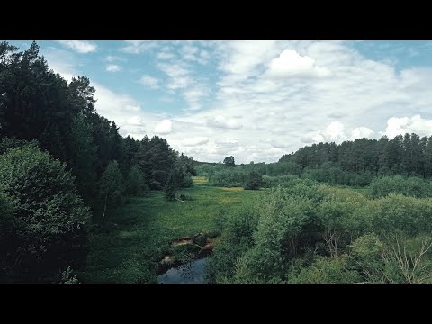 Видео: Поход по реке Белая Тверская