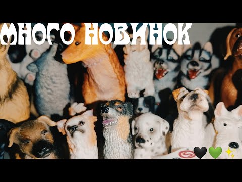 Видео: // МНОГО НОВИНОК // SCHLEICH // PAPO // SAFARI LTD // BULLYLAND//COLLECTA//