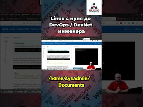 Видео: Узнайте секреты управления файлами в Linux! Курс #linux с нуля до #devops / #devnet инженера