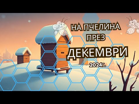 Видео: Най - важното за пчелите през Декември