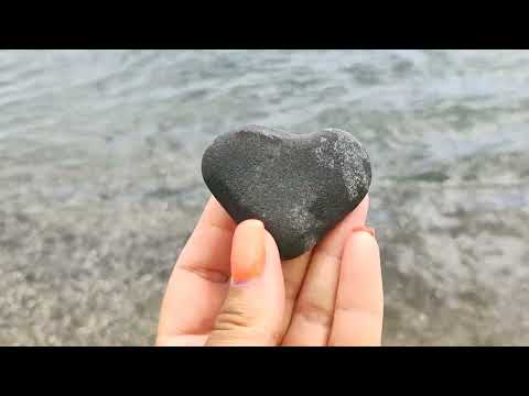 Видео: Море, чайки, вкусняшки..☺