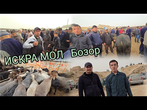 Видео: ИСКРА ШАНБЕ БОЗОРДА КАТА МОЛ МАЙДА МОЛАР НАРХЛАРИ