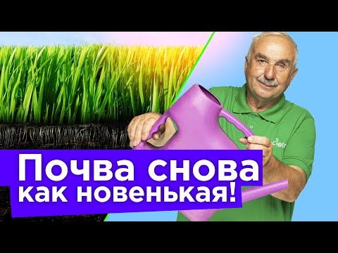 Видео: ПРОЛЕЙТЕ ПОЧВУ ПОСЛЕ ТОМАТОВ, ОГУРЦОВ, КАРТОШКИ ЭТИМ, и она станет снова здоровой и плодородной!