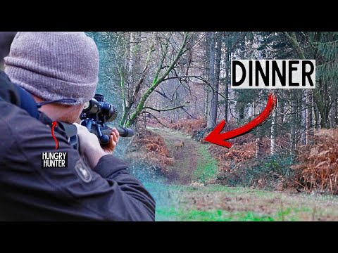 Видео: Кампания Мунтжак