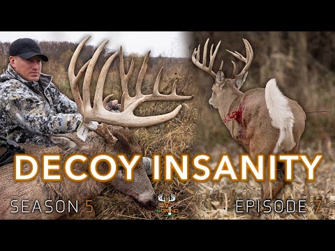 Видео: S5E7 ОБМАНОЧНОЕ БЕЗУМИЕ!