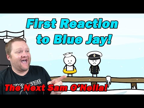 Видео: Самый глупый русский вояж, о котором никто не говорит | BlueJay | Реакция учителя истории