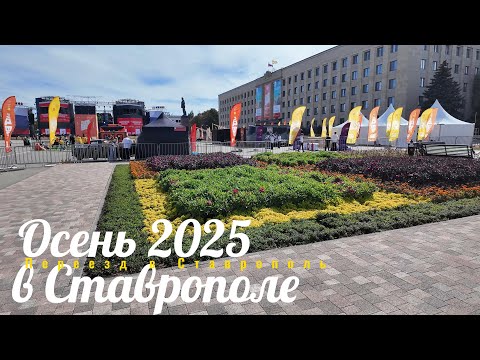 Видео: Осень 2025 в Ставрополе/Нижний рынок