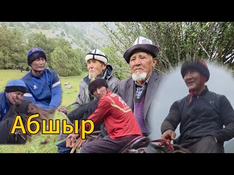 Видео: Абшыр жайлоосу Тоолос улагы 17.06.25