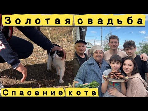 Видео: Эмпатам не смотреть!!! Золотая свадьба родителей / Спасение котика/ Влог со слезами и радостью