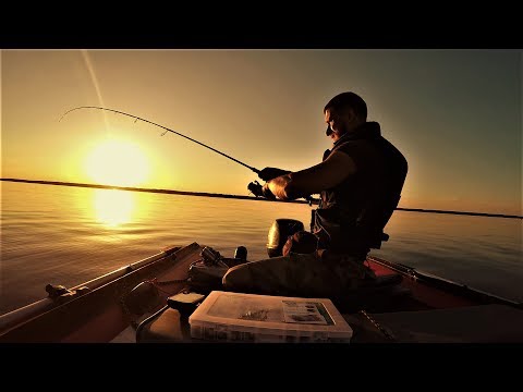 Видео: Рыбалка с Ночёвкой И Приключения на Яузе. Копчёный Судак в Биксе .Ловля на Джиг. Как же ХОРОШО!