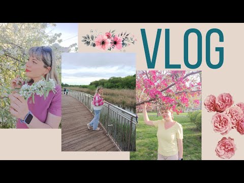 Видео: VLOG/смотрим района Ростова/Левенцовка/заказ Яндекс Лавка/готовлю/Вересаево/парк Первая Миля