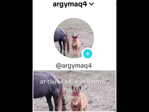 Видео: жылқы ат сыны ат баптау жылқы сыны жұйрік жылқы
