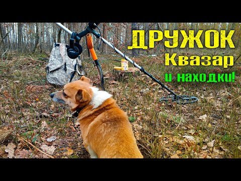 Видео: МНОГО НАХОДОК! КОП с КВАЗАР АРМ и ДРУЖКОМ! ОТЛИЧНЫЙ КОП МОНЕТ 2022