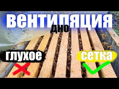 Видео: Пчеловодство для начинающих вентиляция и утепление пчелиной семьи. зимовки глухое и сетчатое дно
