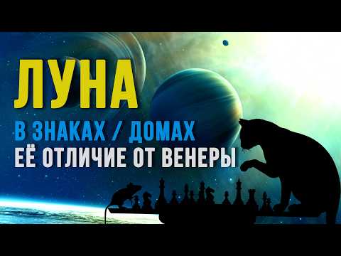 Видео: РОЛЬ ЛУНЫ. ЛУНА В ЗНАКАХ. ОТЛИЧИЕ ЛУНЫ ОТ ВЕНЕРЫ И СОЛНЦА. ОТЛИЧИЕ СТИХИИ ЕЁ ЗНАКА #луна #астрология