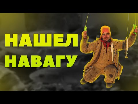 Видео: Нашел навагу, ни кто не ловит а мы долбим! Русская рыбалка.