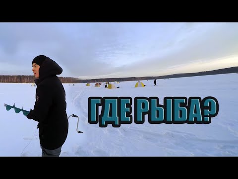 Видео: Комфортная рыбалка | Смотрю как жена рыбачит