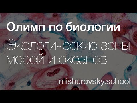 Видео: Экологические зоны Мирового океана | Олимпиадная биология