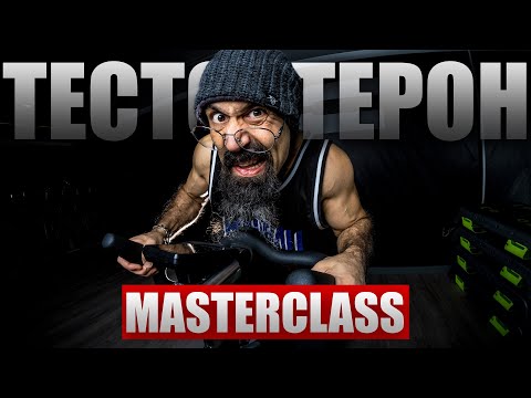 Видео: ТЕСТОСТЕРОН: Повече, отколко би искал ДА ЗНАЕШ | Март 2024