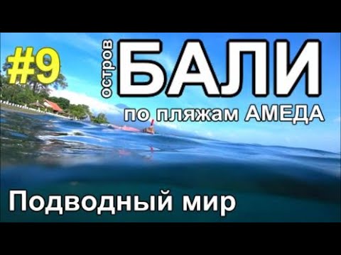 Видео: на БАЛИ есть пляжный отдых! По пляжам Амеда, Сноркелинг