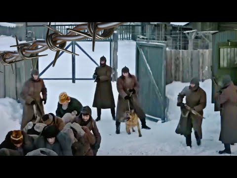 Видео: Тишина за колючей проволокой