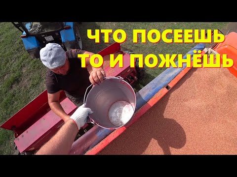 Видео: ПОСЕВНАЯ ОЗИМОЙ ПШЕНИЦЫ  2024 - 2025 // ЧТО ПОСЕЕШЬ ТО И ПОЖНЁШЬ // СТАВКА НА "ТАНЮ"