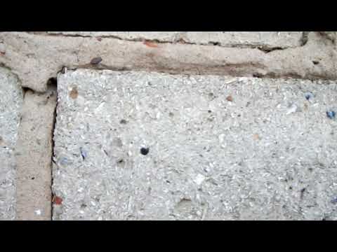 Видео: Опилко-бетонные блоки 10 лет спустя,что с ними стало