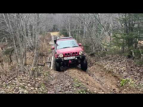 Видео: 7 ноября 2025 г.