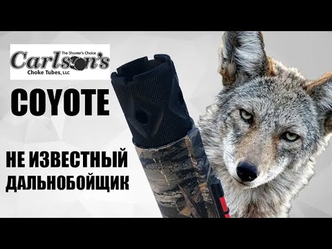 Видео: Carlson’s COYOTE « НЕ ИЗВЕСТНЫЙ ДАЛЬНОБОЙЩИК »  Benelli Vinci / ЧОК / ЧОКИ / ДУЛЬНЫЕ УСТРОЙСТВА