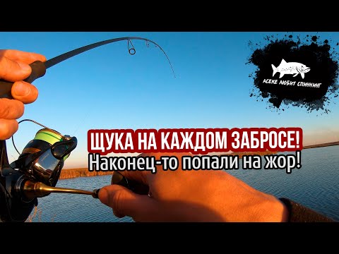 Видео: Щука бъет на каждом забросе! #астана #рыбалка #2024 #щука
