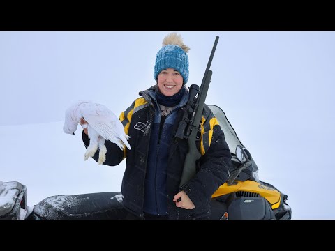 Видео: Пеммикан в аляскинском стиле, копчёная колбаса из карибу и зимняя охота на куропаток