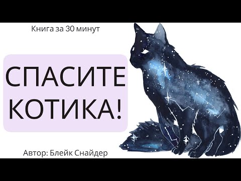 Видео: Спасите котика! И другие секреты сценарного мастерства | Блейк Снайдер