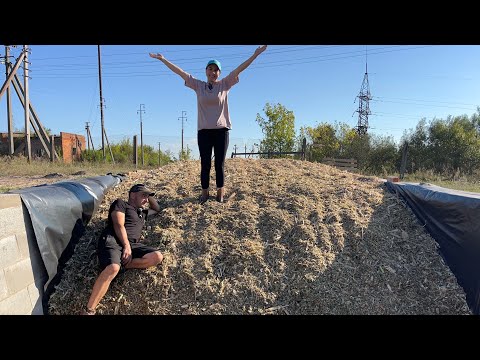 Видео: Частина 2! Заготівля силосу для відгодівлі ВРХ!