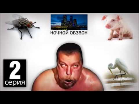 Видео: Поехавший - злые мухи мешают спать