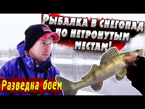 Видео: Зимний Спиннинг | Москва-река | Денис Вихров